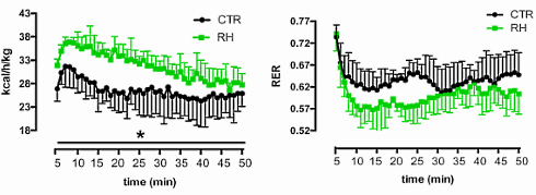 De tweevoudige afslankende werking van rozenbottel