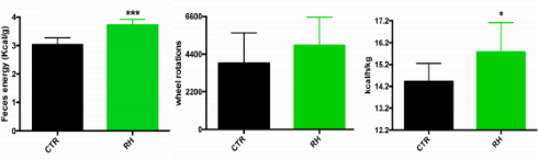 De tweevoudige afslankende werking van rozenbottel