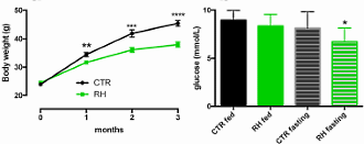 De tweevoudige afslankende werking van rozenbottel