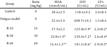 Rutine vergroot uithoudingsvermogen