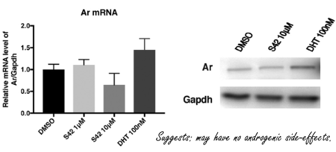 S42, de Japanse afslank-SARM