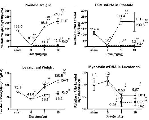 S42, de Japanse afslank-SARM