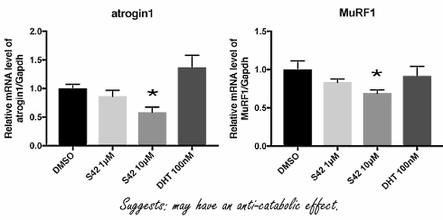 S42, de Japanse afslank-SARM