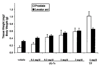 Ze lijken niet meer op testosteron, maar ze prikkelen wel de androgeenreceptor. Ze stimuleren spiergroei, maar laten de prostaat met rust. Ziedaar het profiel van de SARM's. Legio onderzoeksafdelingen van farmabedrijven werken er aan. Omdat we steeds ouder worden, we op hoge leeftijd sterk en vitaal willen blijven, en de anabole steroiden in een kwade reuk staan, ruiken de bedrijven geld.