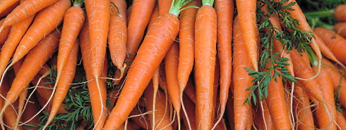 Carotenoiden in wortels, sinaasappels en tomaten beschermen tegen dementie
