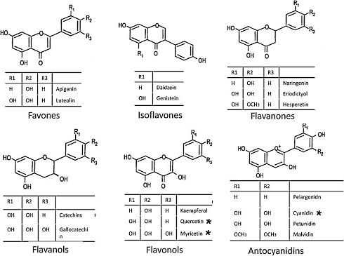 Cyanidine, de levensverlenger in blauwe bessen