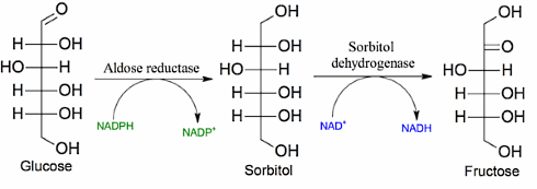 Is sorbitol een spiervriendelijk afslankmiddel?