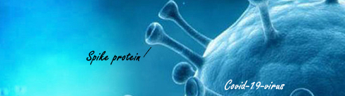 Houden omega-3-vetzuren het coronavirus buiten de deur?