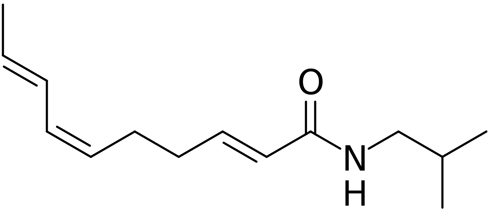 Volgens een rammelende humane studie uit India zou suppletie met een extract van Spilanthes acmella, een medicinale plant uit de ayurveda, niet alleen de seksualiteit maar ook de spiergroei van fanatieke krachtsporters moeten stimuleren. Komt dat omdat Spilanthes acmella de testosteronspiegel verhoogt?