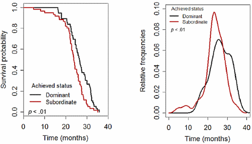 Hoe chronische stress je leven verkort