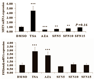 Broccoli, bloemkool & bodybuilders