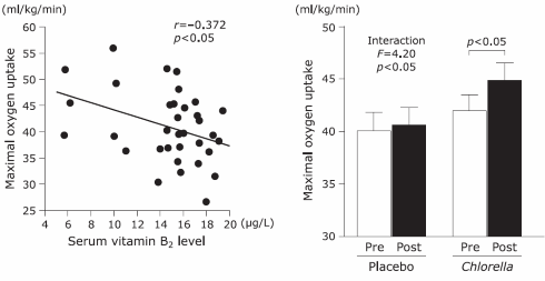 Humaan onderzoek: Chlorella vergroot VO2max