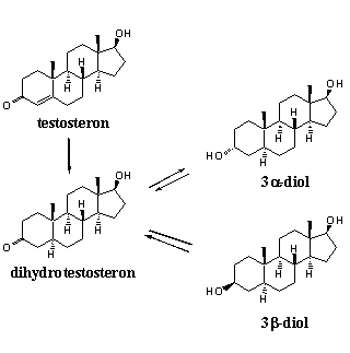 Het lijkt wel alsof we terug zijn in de woelige tijden van voor de pro-hormoonban van 2004, nu supplementenbakker Legal Gear Liquid Masterdrol op de markt heeft gezet. Wij van Ergogenics grijpen de gelegenheid graag aan om net te doen alsof we precies weten wat het nieuwe prohormoon precies is.