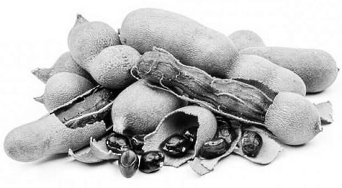 FAS-remmer Tamarindus indica stopt de groei van de vetweefsels