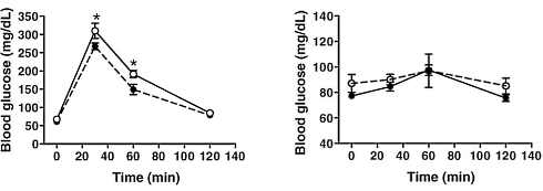 Suppletie met taurine verbetert de insuline- en glucosehuishouding. Dat rapporteren fysiologen van de State University of Campinas in de Journal of Nutritional Biochemistry. In muizen verhoogt taurine de afgifte van insuline en verhoogt het de gevoeligheid van de receptor voor insuline in de spieren. Misschien is taurine nog interessanter voor sporters dan we al dachten.