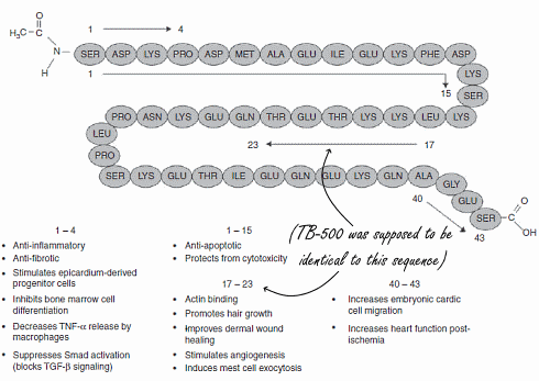 Te weinig TB-500 werkt niet, teveel ook niet