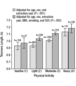 Lichaamsbeweging vertraagt moleculaire veroudering met tien jaar