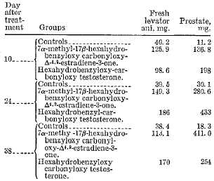 De 13-beta-ethyl- en 7-alpha-methylanalogen van dienolone