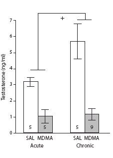 XTC slikken gaat ten koste van je testosteron