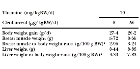Vitamine B1 geeft kippen grotere spieren