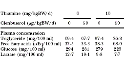 Vitamine B1 geeft kippen grotere spieren