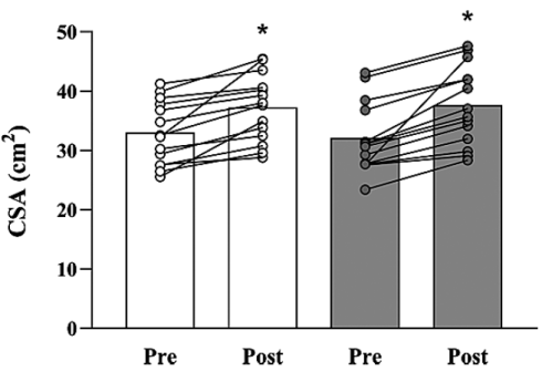 Alweer: to failure-krachttraining is net zo effectief als not to failure-krachttraining