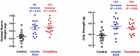 De anabole werking van tomatidine versus die van ursolic acid