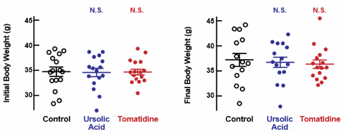 De anabole werking van tomatidine versus die van ursolic acid