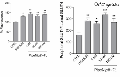 Zwarte peperextract PipeNig-FL stimuleert spiergroei, remt lichaamsvet