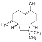 Zwarte peperextract PipeNig-FL stimuleert spiergroei, remt lichaamsvet