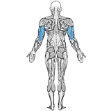 Krachttrainen met 3/7-methode effectiever dan traditionele methode