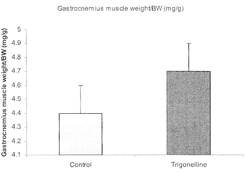 Ook als je jong bent is trigonelline een natuurlijk anabolicum