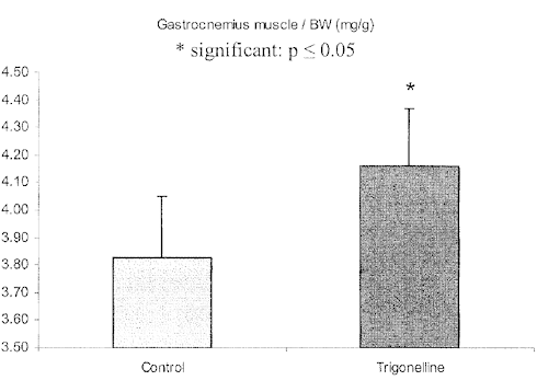 Ook als je jong bent | Trigonelline als een natuurlijk anabolicum