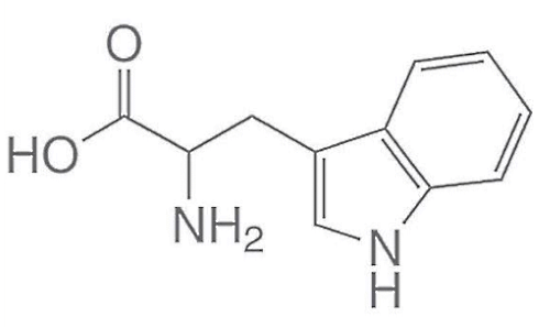 Metastudie | In deze dosering verbetert L-tryptofaan de kwaliteit van de slaap