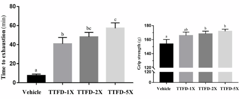 Vitamine B1-variant fursultiamine vergroot uithoudingsvermogen en spierkracht