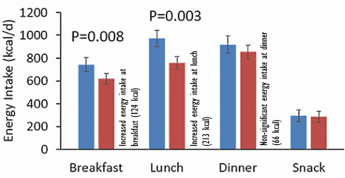 Zo maken industrieel geproduceerde voedingsmiddelen ons dik