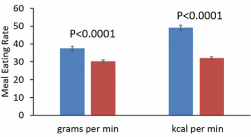 Zo maken industrieel geproduceerde voedingsmiddelen ons dik