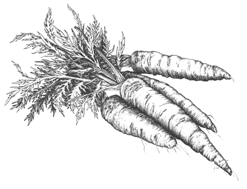 Lycopeen en bèta-caroteen beschermen tegen hartinfarct