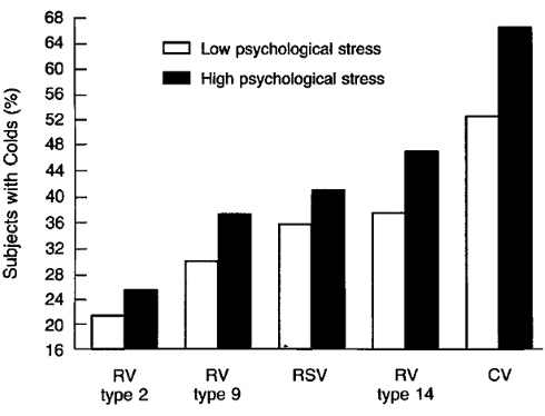 Stress vermijden is virusinfectie voorkomen