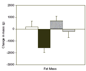 Visolie versterkt het effect van training op de vet- en de vetvrije massa