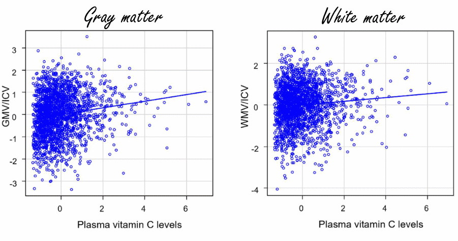 Vitamine C remt krimpen van hersenen door veroudering