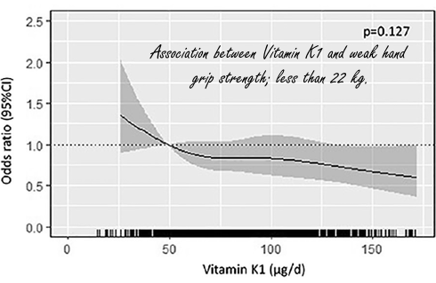Hoge inname vitamine K1 houdt botten sterk (en de spieren ook)