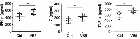 Vitamine B5 voert het immuunsysteem op