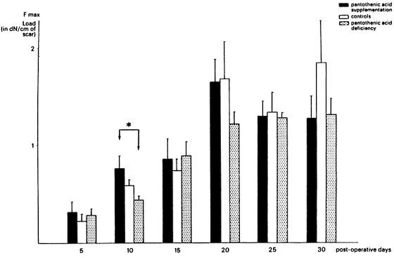 Forse dosis vitamine B5 versnelt herstel van beschadigde pees