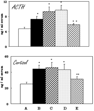 Teveel cortisol in je lichaam? Misschien helpt vitamine E