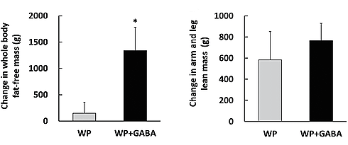 Snufje GABA maakt whey effectiever voor krachtsporters