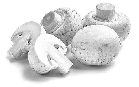 Beschermen champignons mannen (en anabolen-gebruikers) tegen covid?