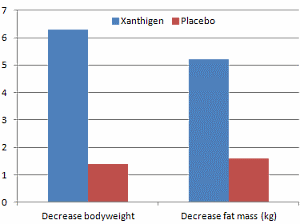 Xanthigen verhoogt energieverbruik met 400 kcal per dag