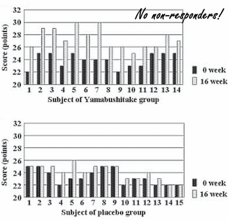 Humane studie: Yambushitake maakt afgetakelde hersenen weer beter