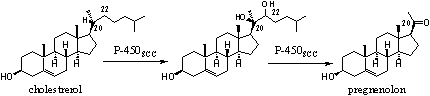 Schema 1